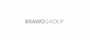 BRAWO GE Management GmbH