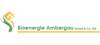 Bioenergie Ambergau GmbH & Co. KG